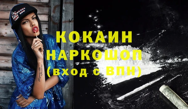 винт Новодвинск