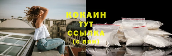 индика Новокубанск