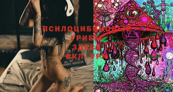 твердый Няндома