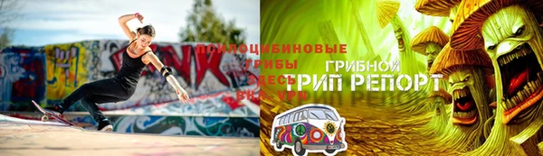 твердый Няндома