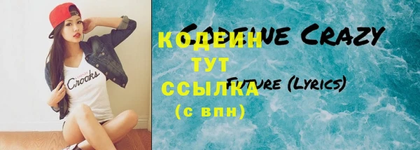 индика Новокубанск
