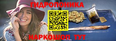 индика Кинель