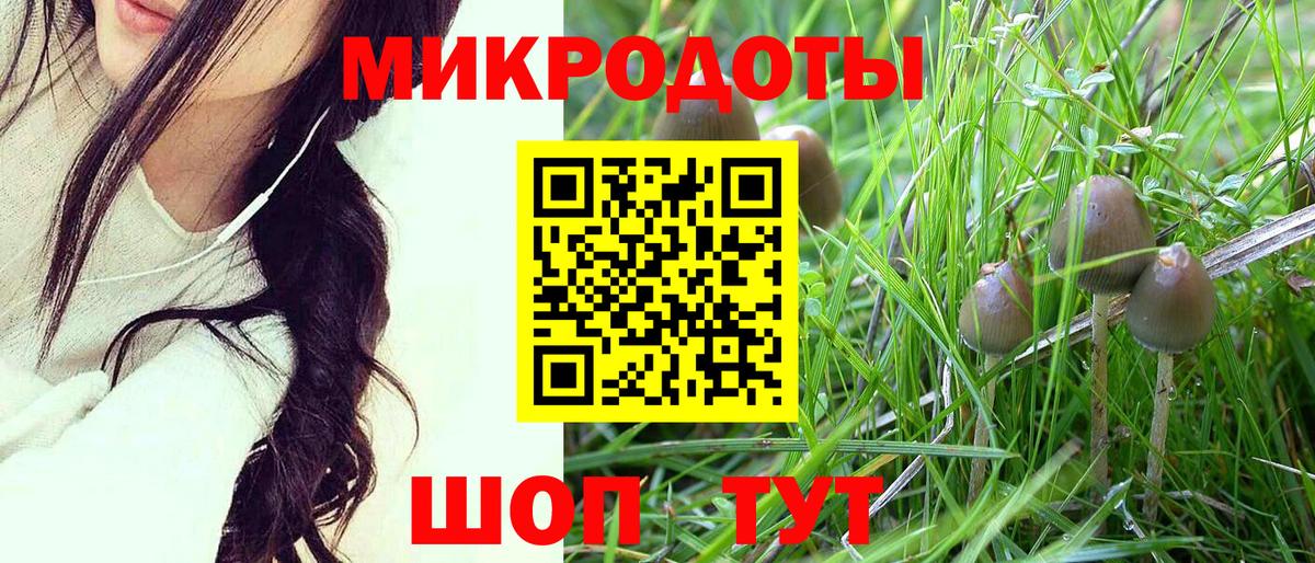 Галлюциногенные грибы мицелий  Галлюциногенные грибы Cubensis  Новоуральск 