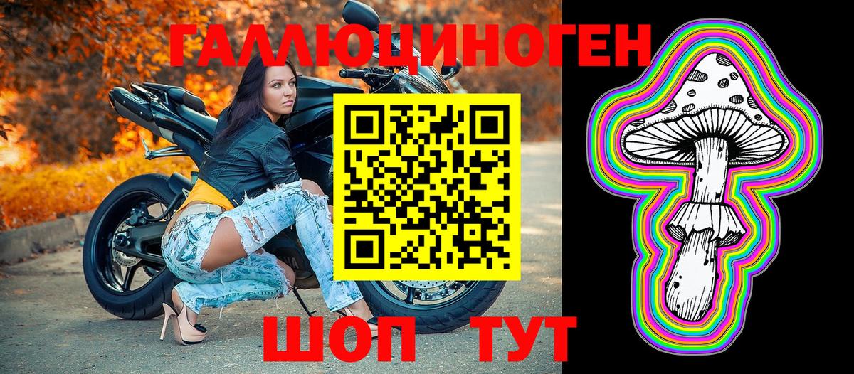 Псилоцибиновые грибы Cubensis Новоуральск